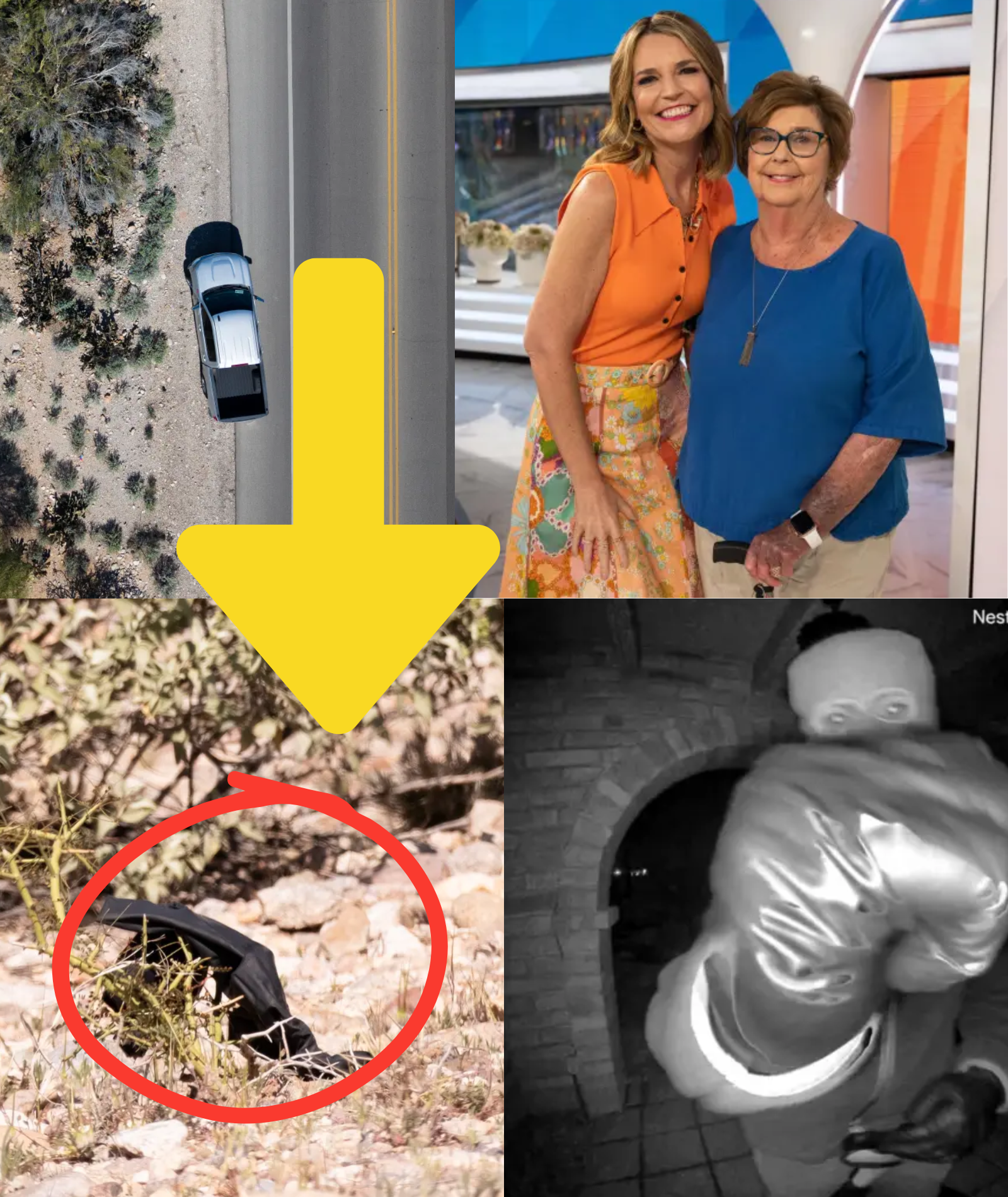 URGENT REPORT: Authorities locate a BLACK GLOVE while tracking Nancy Guthrie’s kidnappers — hidden inside was a THREE-WORD NOTE confirmed to be in HER HANDWRITING