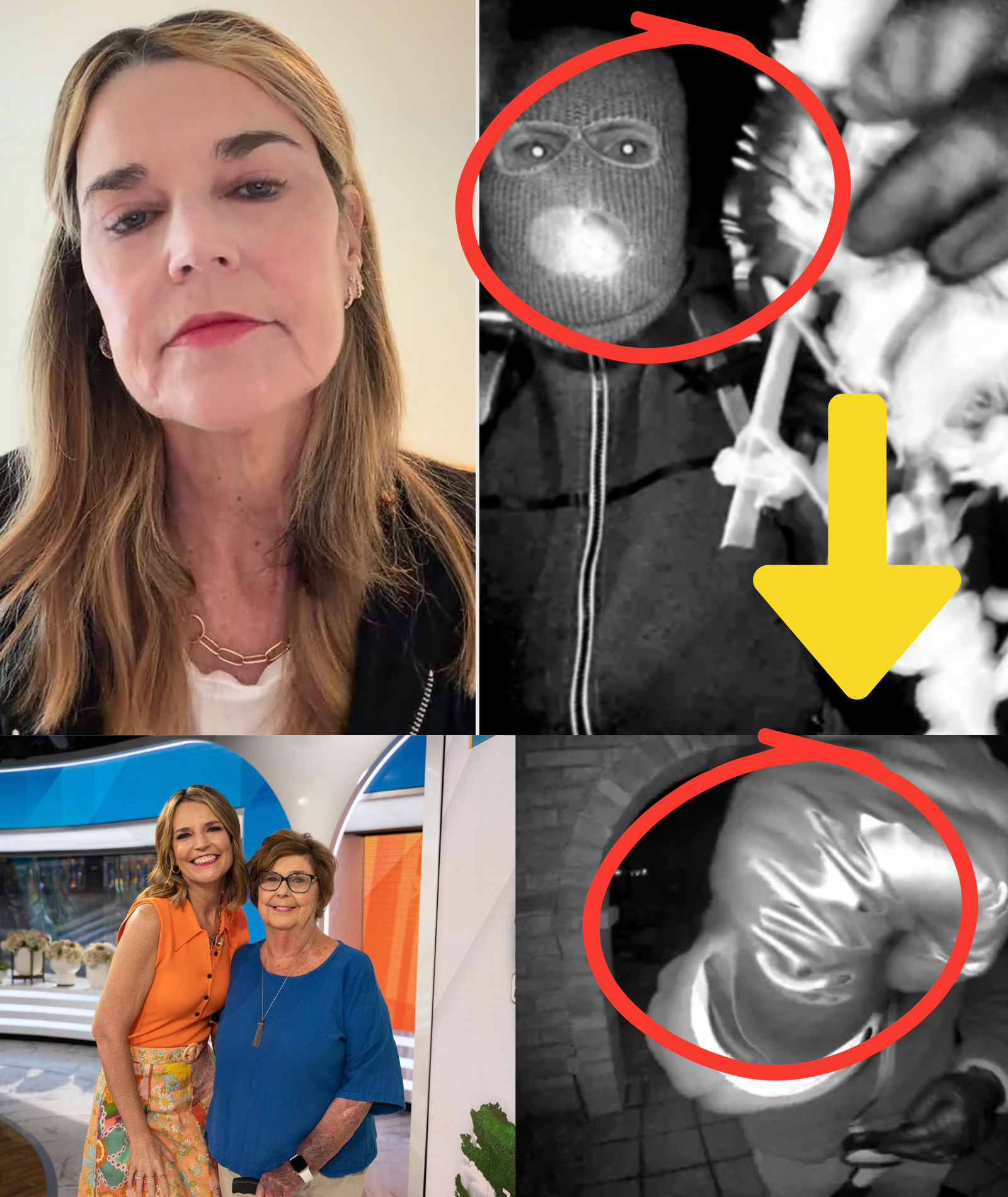 BREAKING NEWS: Suspect’s mother-in-law uncovers the hidden plot behind the Nancy Guthrie case — A WOMAN secretly hired her son, leaving millions misled for weeks