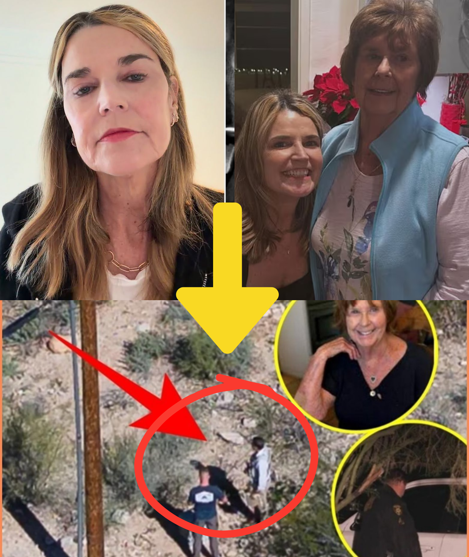 LATEST REPORT: Backyard search intensifies after a gardener leads police to a suspicious hole at Savannah Guthrie’s property — emotional family members rush over as the country reacts in disbelief…