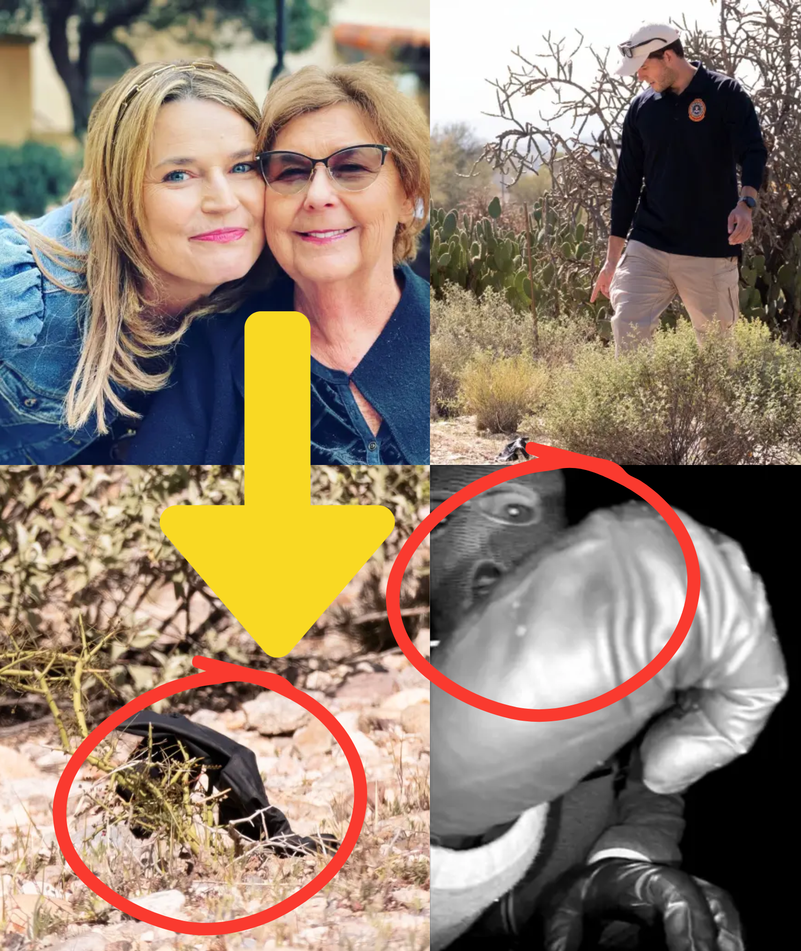 JUST IN: The DNA discovered on a glove near Nancy Guthrieโs property has been LINKED to A WOMAN who previously visited her home and pressed the doorbell 3 MONTHS BEFORE