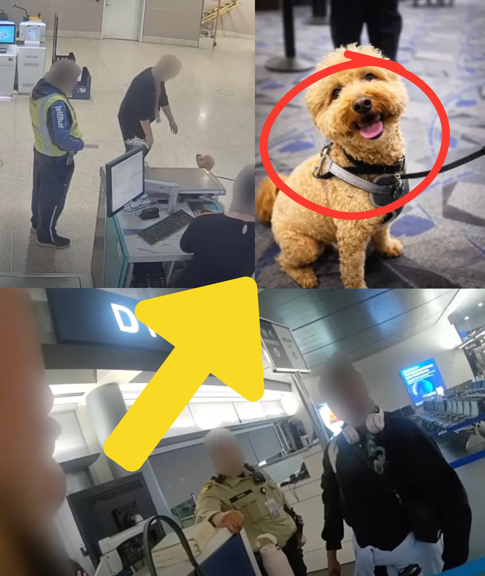 BREAKING: A heartless traveler has been arrested for abandoning a 2-year-old dog at Harry Reid Airport to catch a flight; a FITTING END has finally been delivered