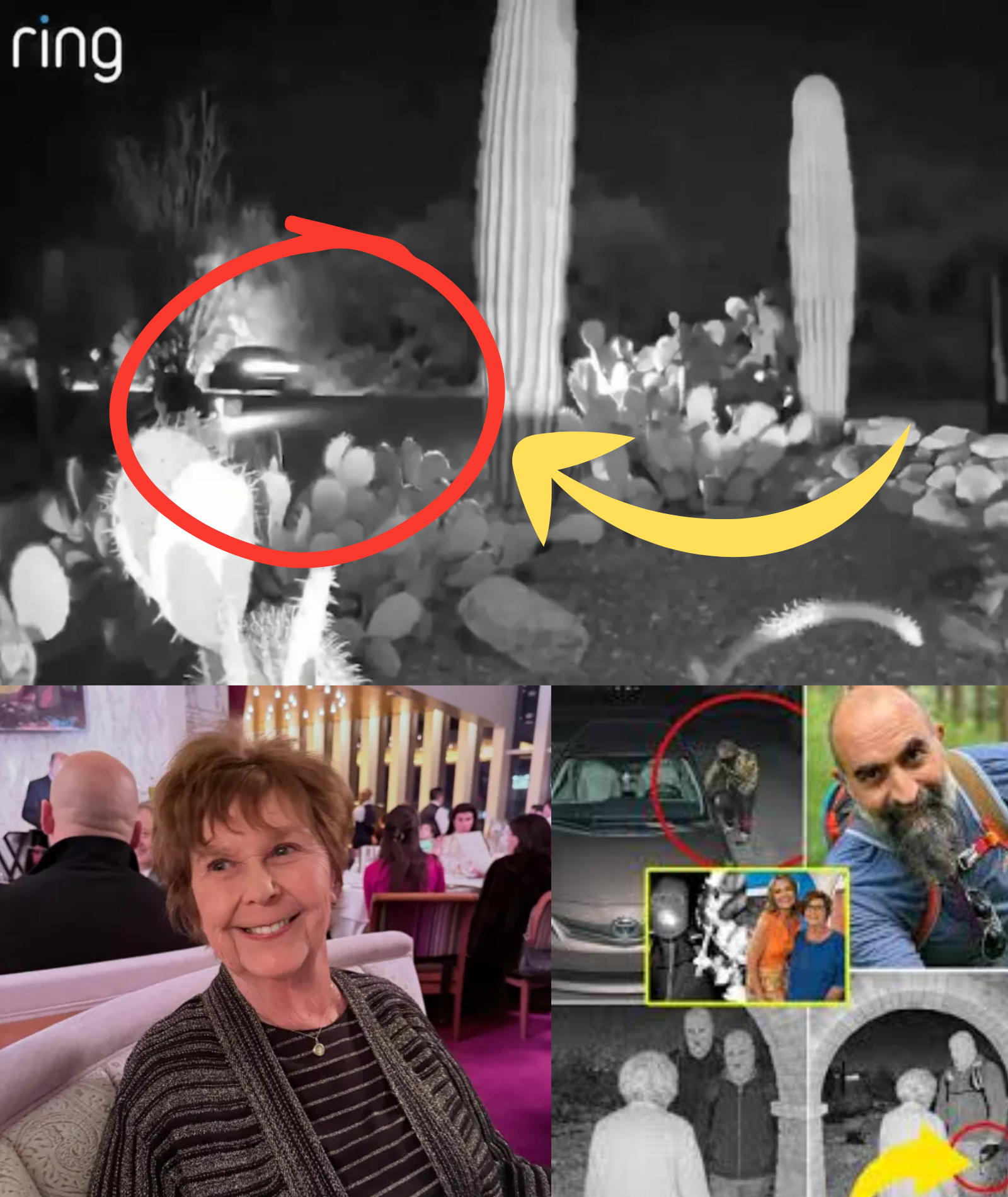 NEW DETAILS: Neighbor’s VIDEO records suspicious VEHICLE ACTIVITY outside Nancy Guthrie’s Tucson home during the KIDNAPPING, officials confirm LICENSE PLATE