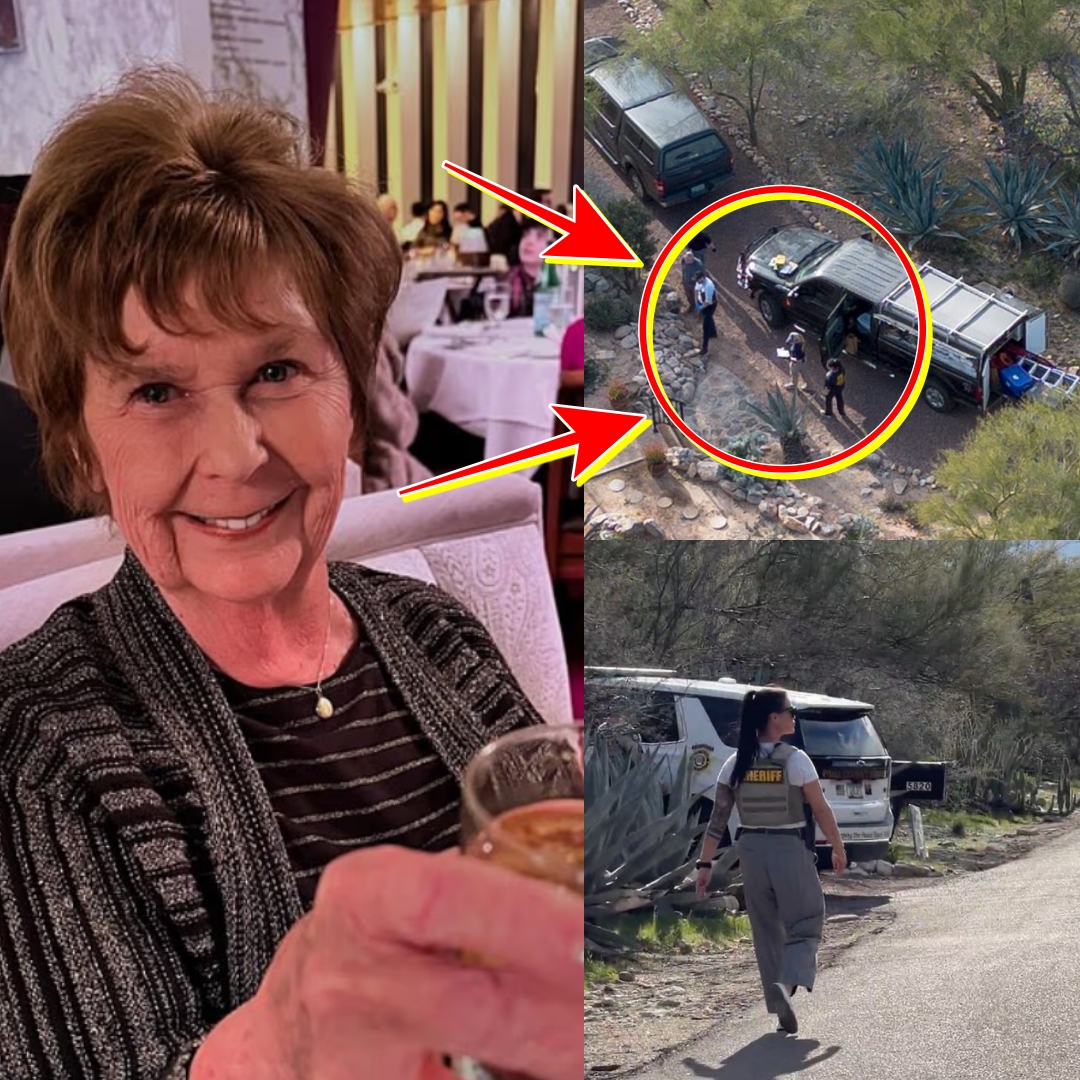 JUST IN: A shadowy “vehicle of interest” has emerged in the search for missing Nancy Guthrie — after a second ominous message was quietly delivered to a Tucson TV newsroom.