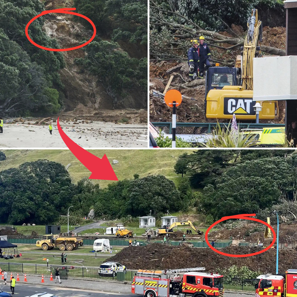 HEARTBREAKING: Close-up of the remains found by police after the landslide at Beachside Holiday Park campsite at the foot of Mount Maunganui following heavy rains. Two young men were found in a condition that shocked the entire United States…