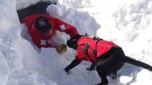 Tahoe Avalanche Update: Recovery Footage and Forensic Reports Offer a Clearer Understanding of What Happened… 👇👇