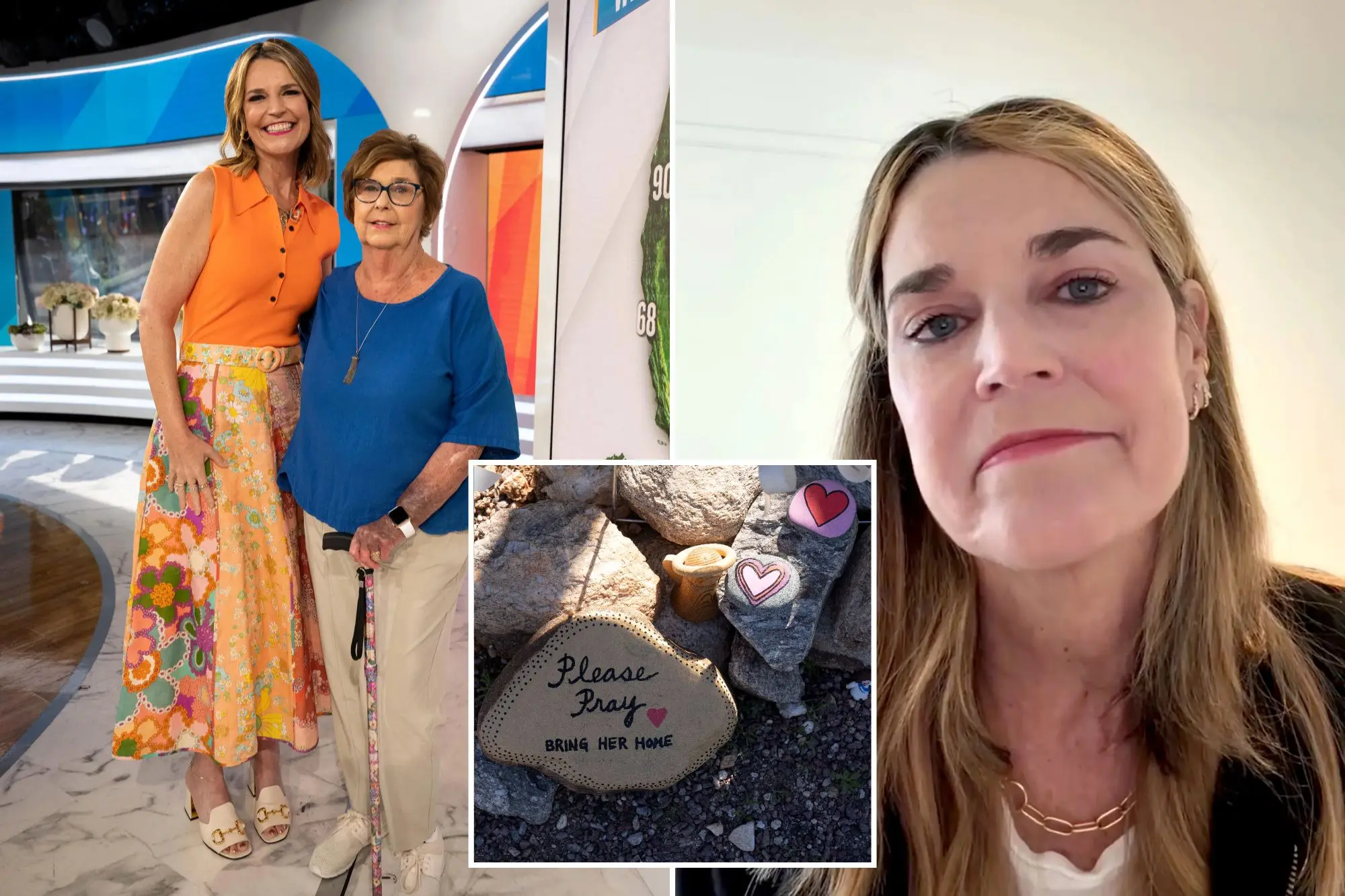 The Investigation Took a Disturbing Turn: Police Open the Septic Tank at Nancy’s Home, and Savannah Guthrie Could Not Hold Back Her Tears… 👇👇