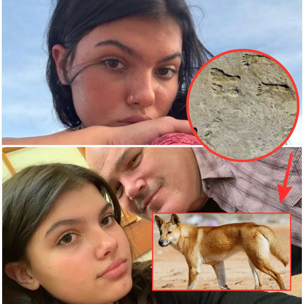 The identity of the 19-year-old Canadian woman found dead on a tourist beach surrounded by stray dogs has been revealed: Millions of American hearts are broken…