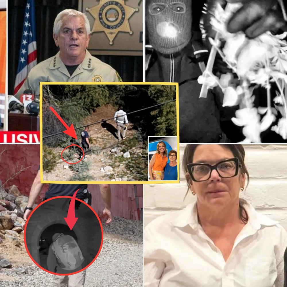 Newly released footage: Suspect believed to be armed in the Nancy Guthrie case has been filmed.