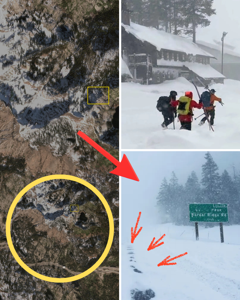 Nevada County Sheriff’s Office: Camera footage reveals unusual details in the avalanche. What caused the rescue team’s delayed response?