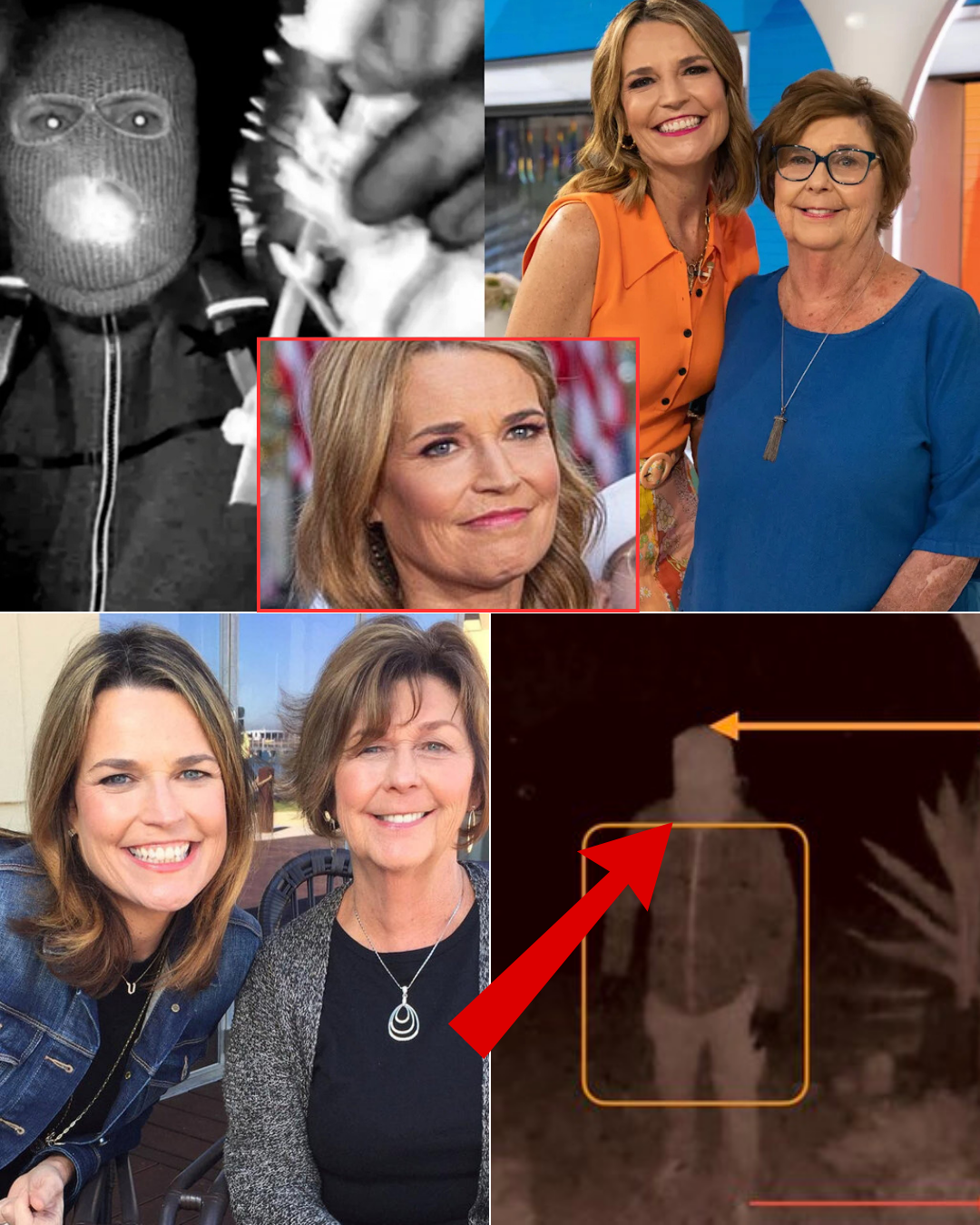 5 minutes ago: Shocking announcement from Police Chief Nancy Guthrie: ‘No evidence’ that the suspect came to her home, CCTV footage is fake…