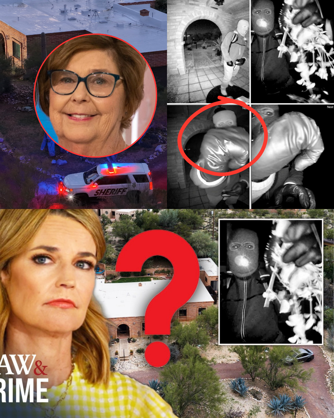 The investigation into Nancy Guthrie’s case takes a shocking turn as officials expose the plan of an “amateur” suspect on the 40th day