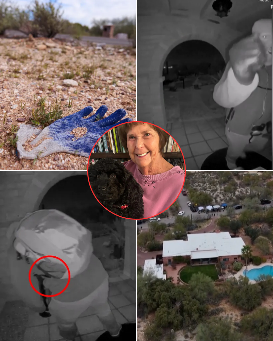 CRUCIAL CLUE: Authorities trace the source of the gloves linked to the Nancy investigation, with the police chief revealing a disturbing finding