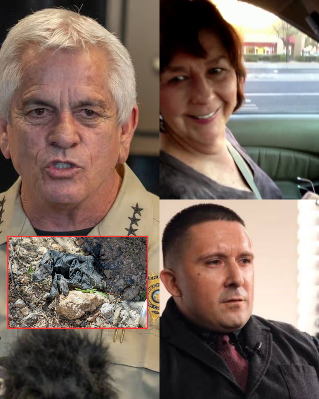 After a man was taken into custody in Arizona, Sheriff Nancy Guthrie issued a short three-word statement