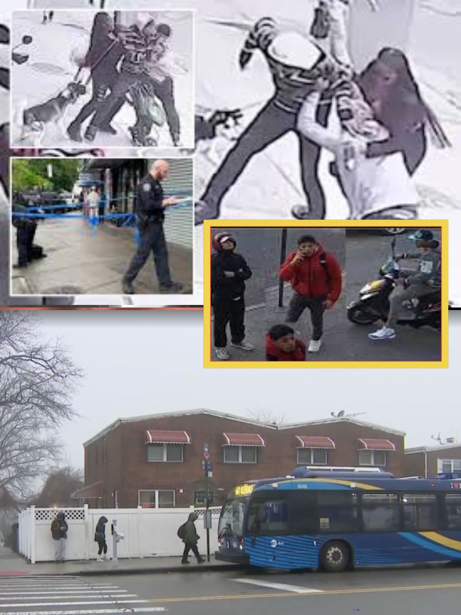 NYC Mom of Three Targeted in Four Brutal Attacks — Police Reveal the Chilling Motive Behind the Masked Assailant… 👇👇