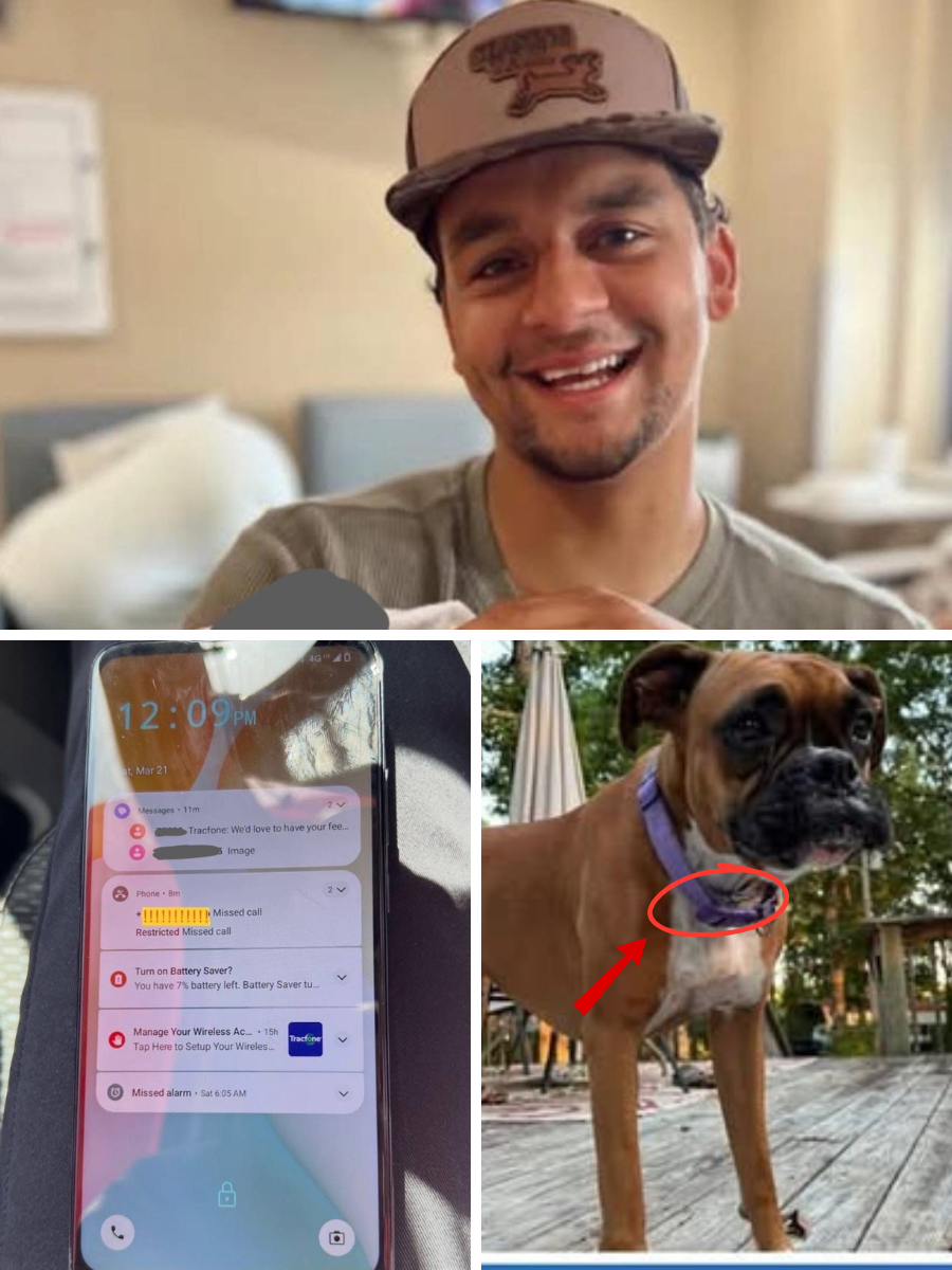 Signal leak from the tracking device of Kameron Harris-Lusk’s dog: The disappearance has a worrying clue as the location being alerted was near rough seas