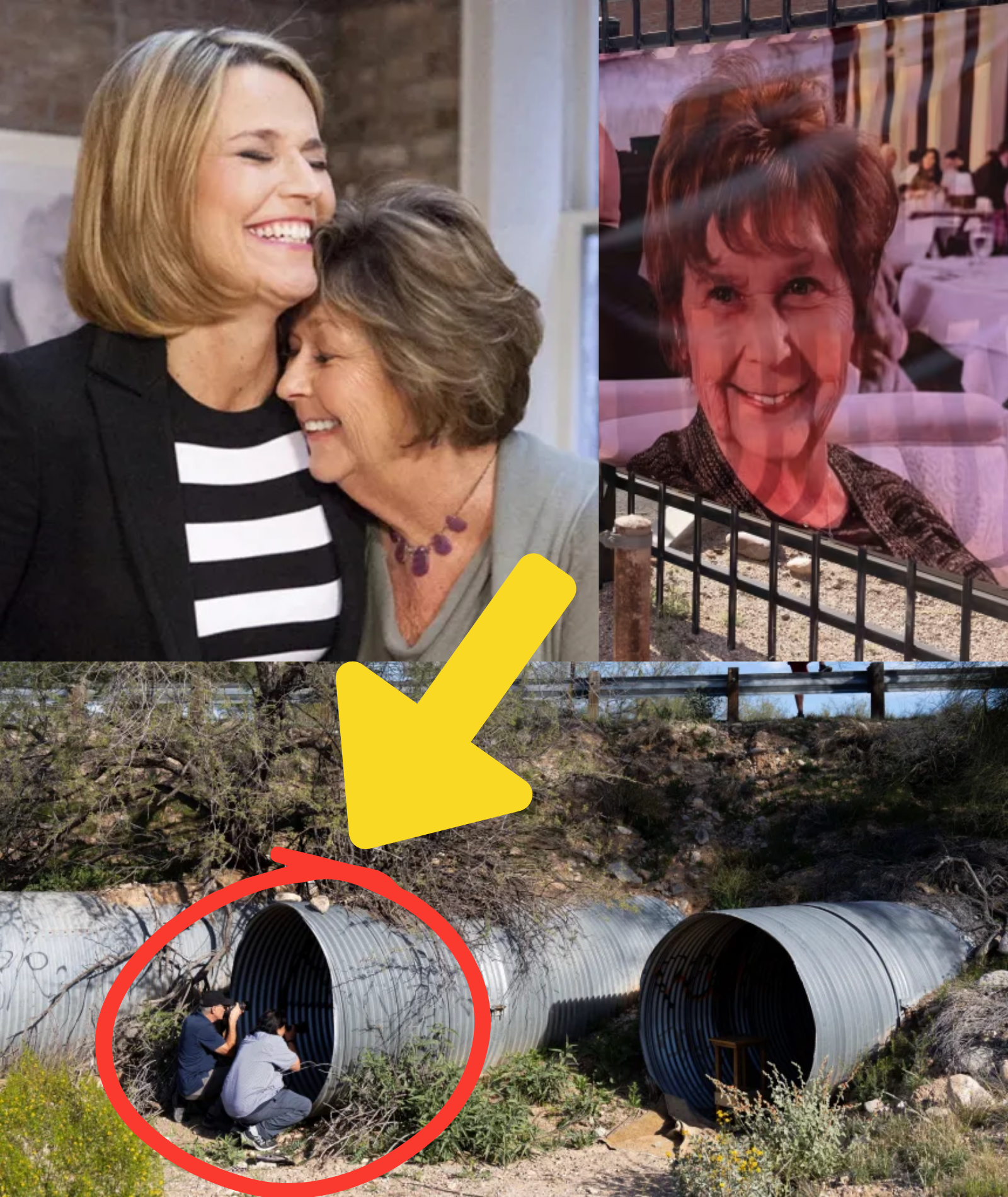 UPDATE DAY 29: Investigators Confirm a Body Found 98 Kilometers West of Nancy Guthrie’s Home, but Her Family Continues to Reject the Conclusion