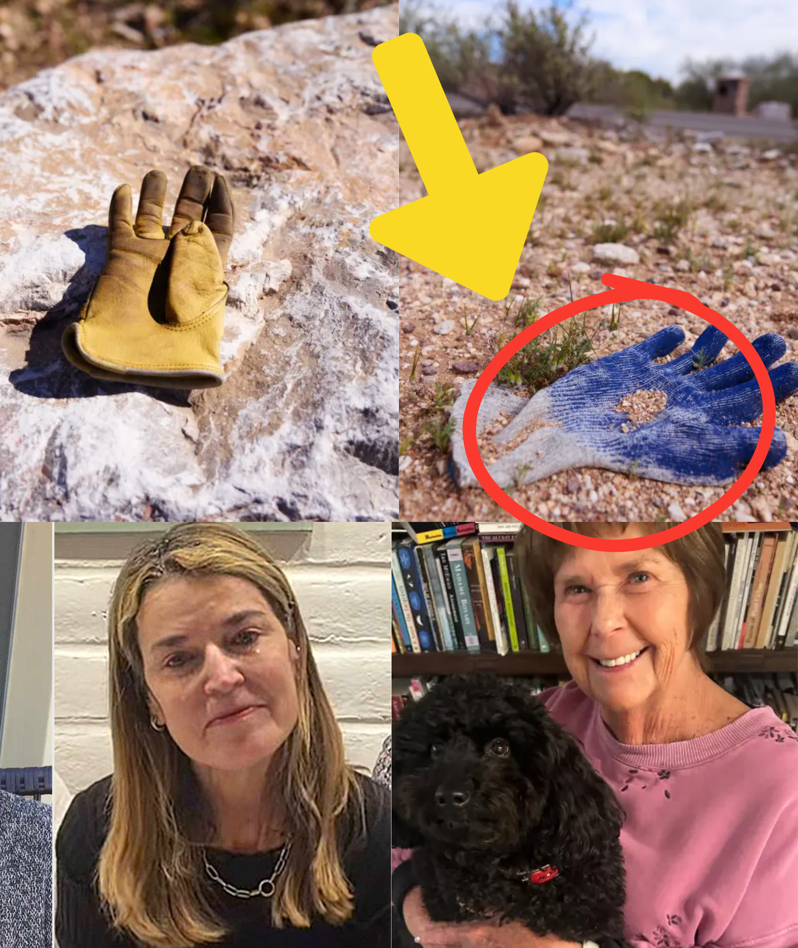 LATEST: The mystery surrounding the glove found in the Nancy Guthrie case has finally been solved — after the DNA was matched to THIS INDIVIDUAL.