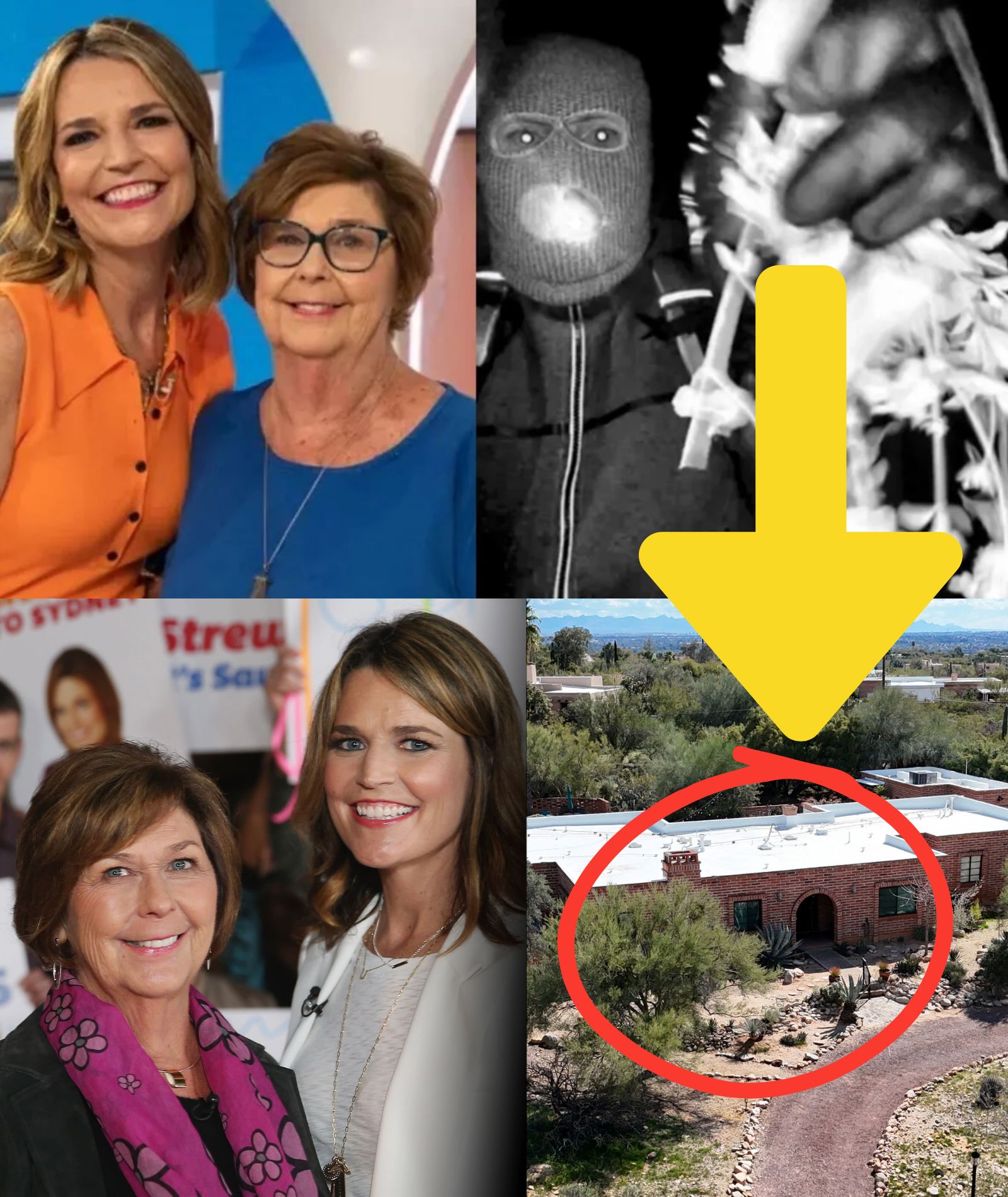 BREAKING UPDATE: Former FBI Agent Believes NANCY GUTHRIE CASE Could Stem From ELDER ABUSE, As Investigators Analyze Her 33-PAGE DIARY