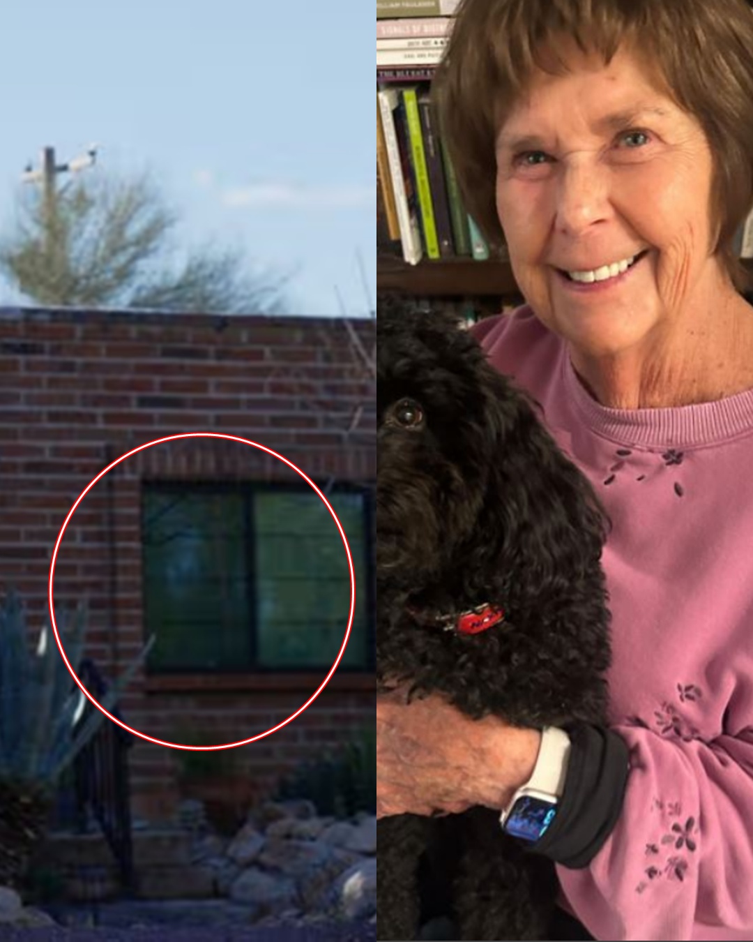 New video update from Nancy Guthrie’s home security camera: The most surprising moment is at the 20-second mark