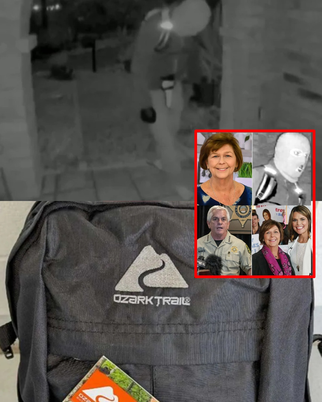 Notice regarding the arrest of a suspect for disturbing behavior at Nancy Guthrie’s residence