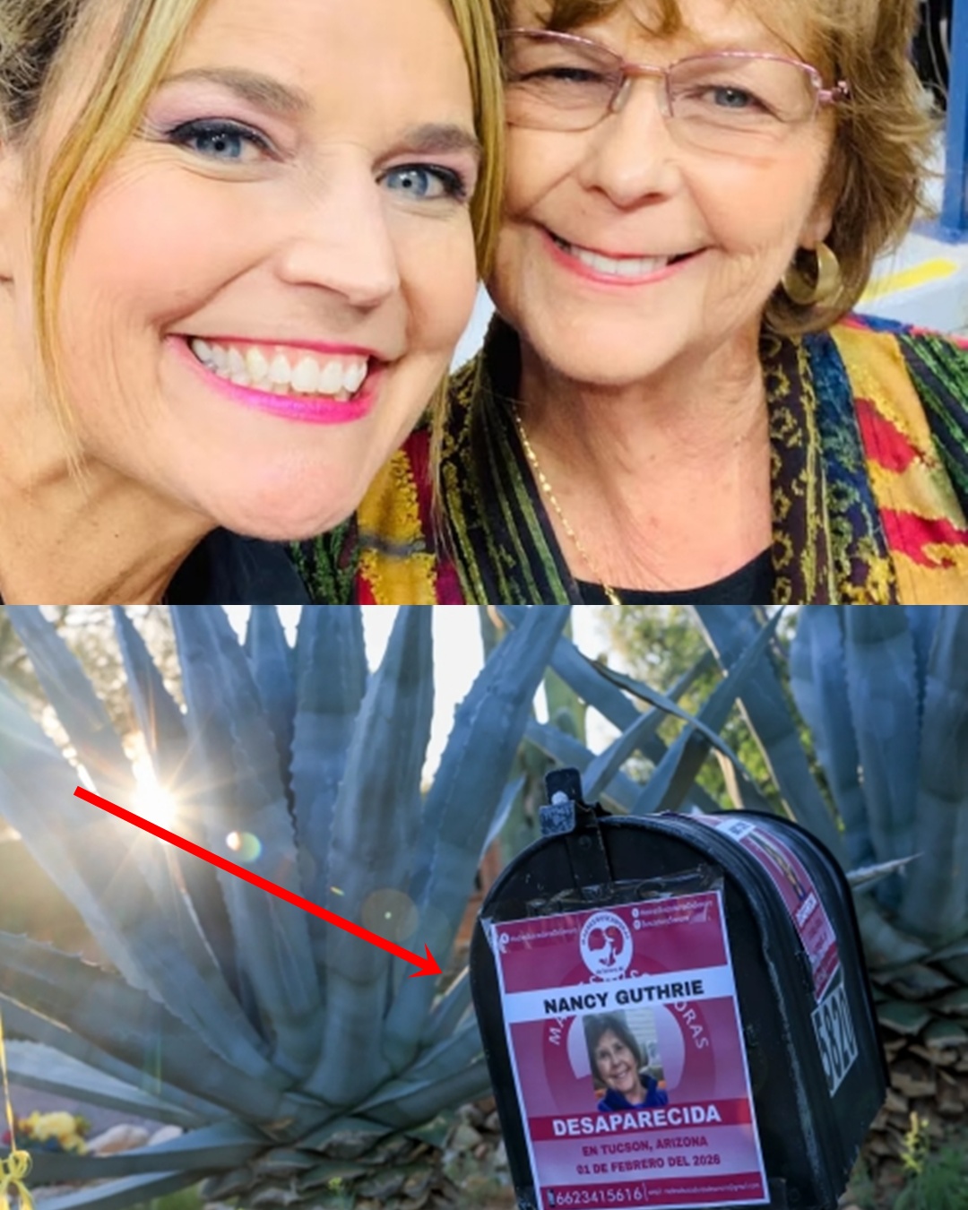 Nancy Guthrie Case Update: The abduction was staged, an important warning from the school police right now…