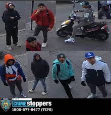 She Was Attacked Four Times on One Walk — Now Police Say the Reason Is Even More Disturbing Than Expected… 👇👇