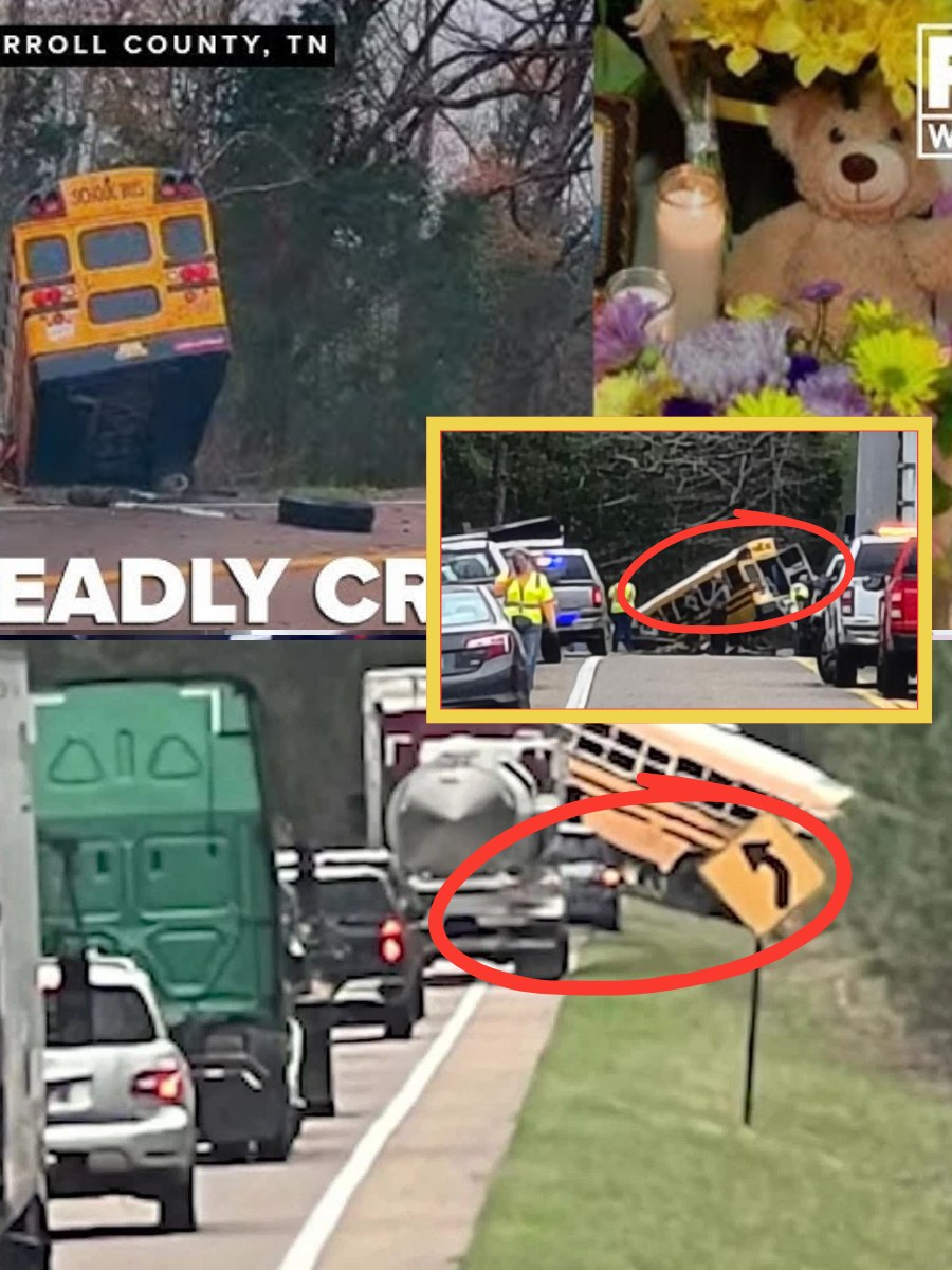 STUNNING POLICE CONCLUSION: Sabrina Ducksworth’s accident wasn’t caused by negligence — and chilling CCTV evidence is now shedding light on what really unfolded before impact… 👇