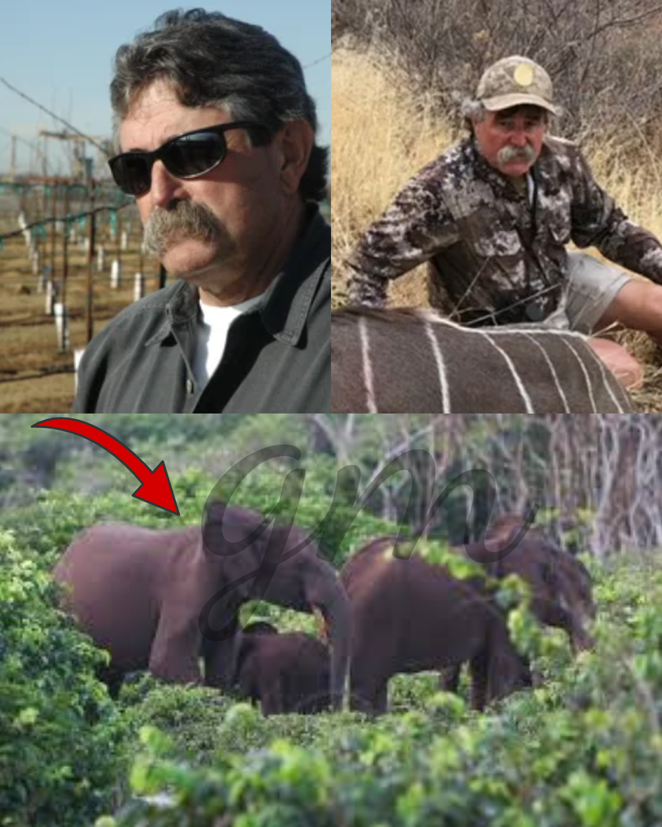 $40K FOR A HEAD: The Secret Ledger That Could Take Down an Empire!