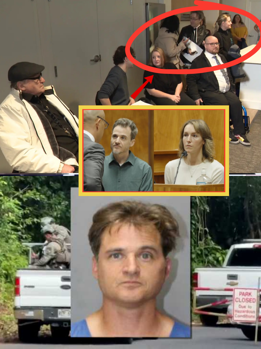 BREAKING: The doctor who saw Arielle Konig after the incident testifies — and what she did next is now becoming a focal point in the case against Gerhardt Konig…👇👇