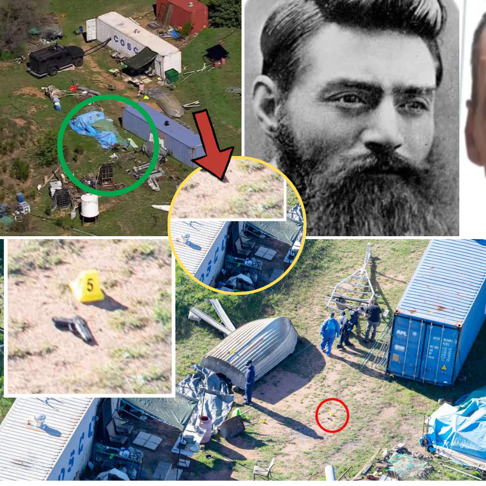 LATEST UPDATE ON THE DEZI FREEMAN CASE: Police now believe she was attacked elsewhere…AND MOVED BEFORE BEING FOUND…