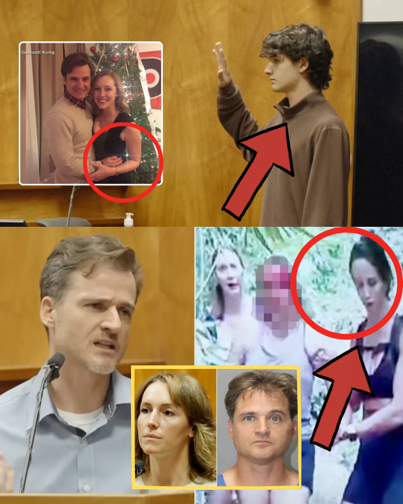 NEW WITNESS EMERGES: A visitor to the forest on the same day that Dr. Gerhardt Konig and his wife took their trip has contacted the police and provided a COMPLETELY DIFFERENT account of the events….