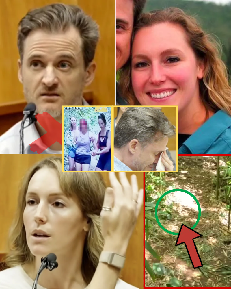BREAKING NEWS: New clues discovered, the stone suspected of being used as the murder weapon against Dr. Gerhardt Konig’s wife has been found, tears have been shed, and this is how the next trial will change…