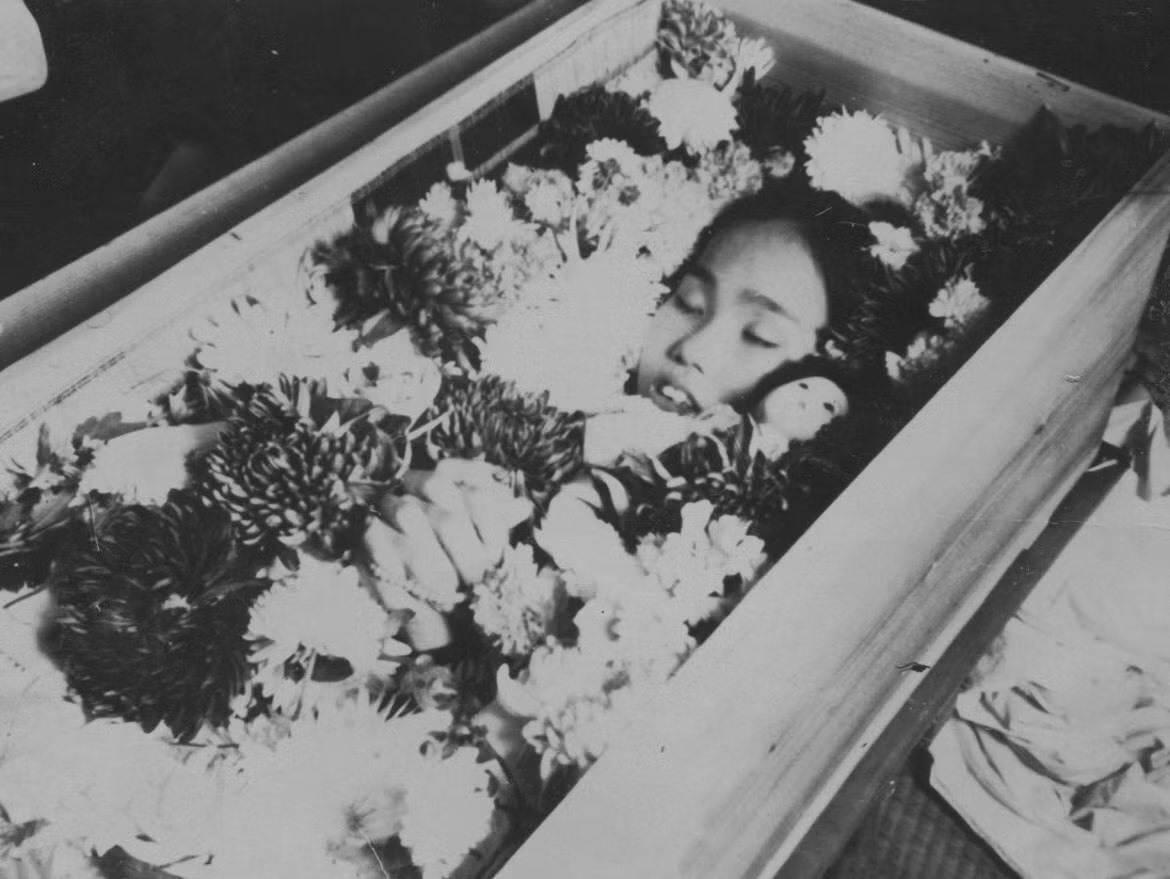 “A LITTLE GIRL FOLDS 1,000 PAPER CRANES TO FULFILL HER LAST WISH — BUT THE TRUTH BEHIND IT HAUNTED THE WORLD FOR DECADES.”
