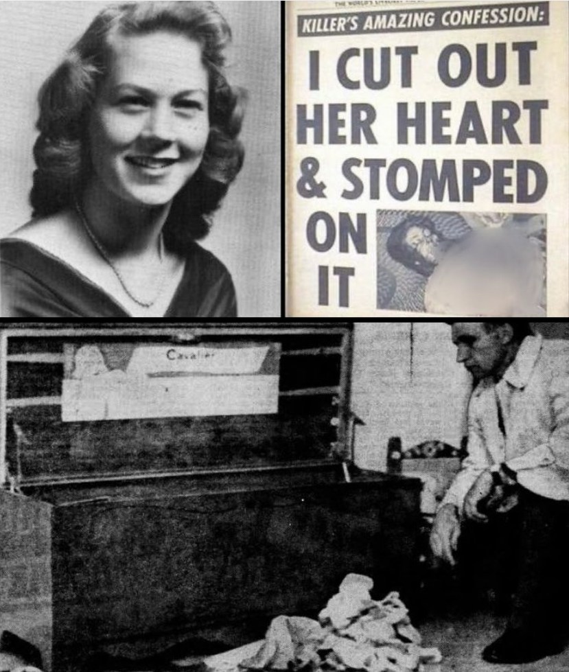 “Olympic athlete disappears overnight at her home — 8 days later, the truth inside the apartment shocks the entire United States.”