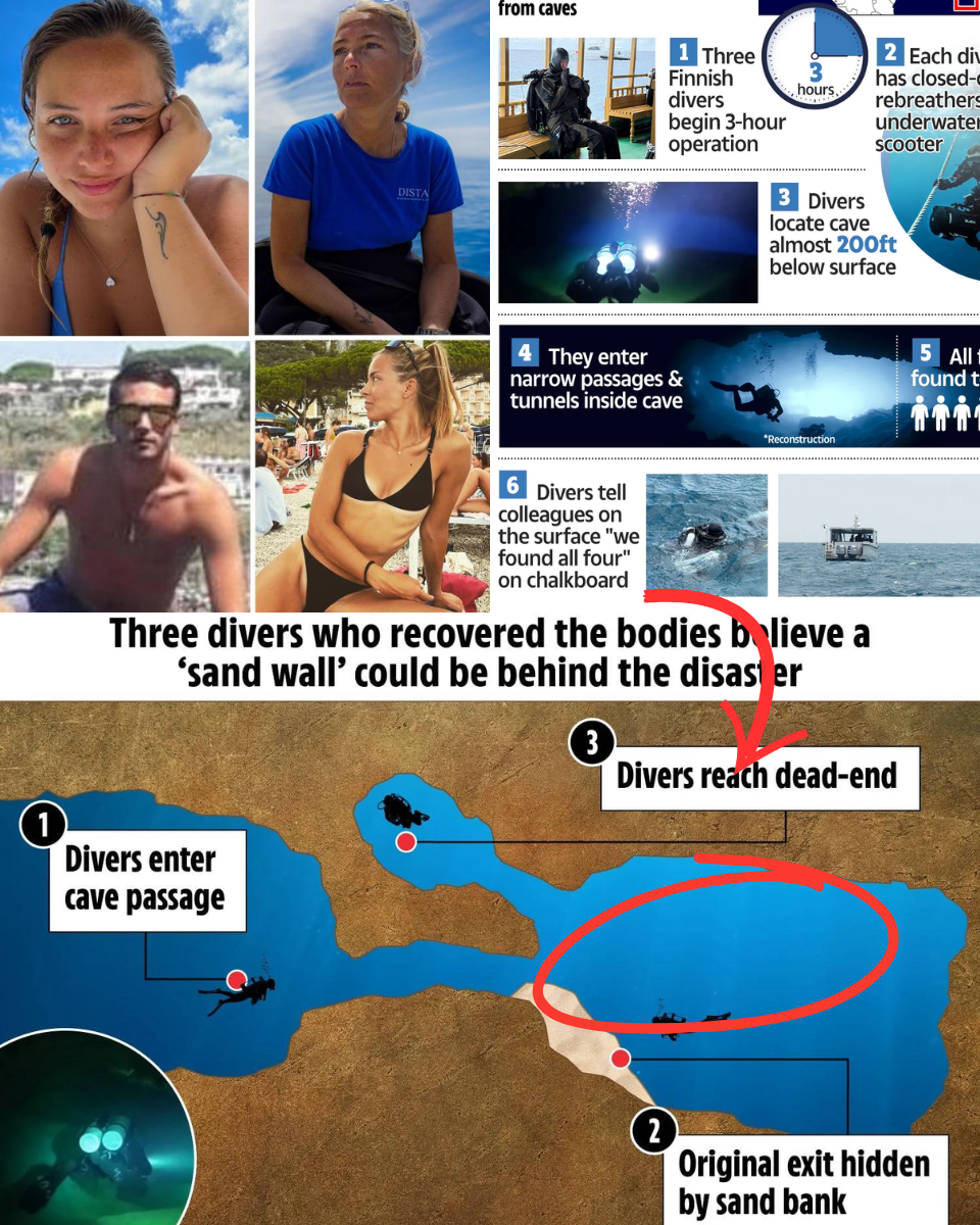 CRUISE EMPIRE COLLAPSE: Coordinated Dawn Raids Launched After Air Sab-t-ge Fully Exposed