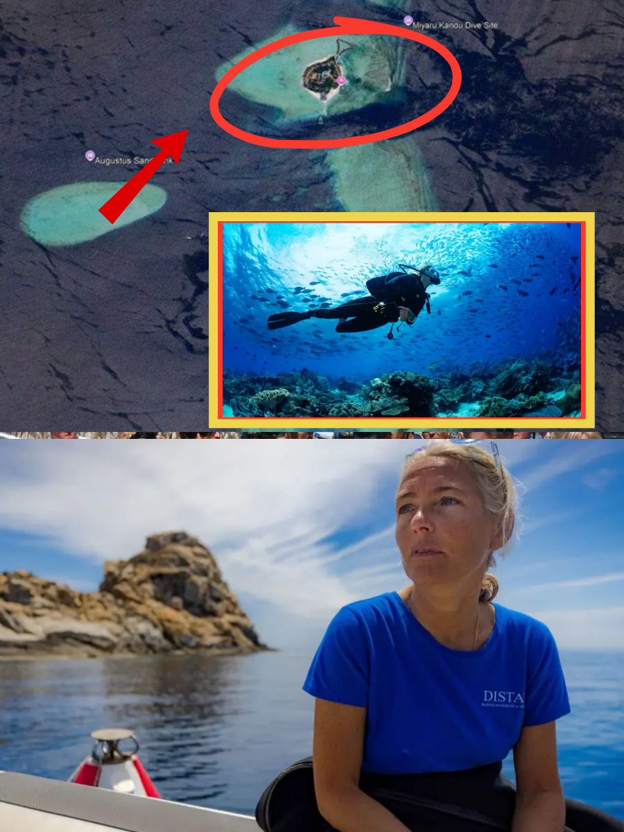 THE “ONLY SURVIVOR” NOW UNDER SCRUTINY: Authorities examining newly recovered footage in the Maldives tragedy say one shocking detail captured before the dive is fueling new questions…
