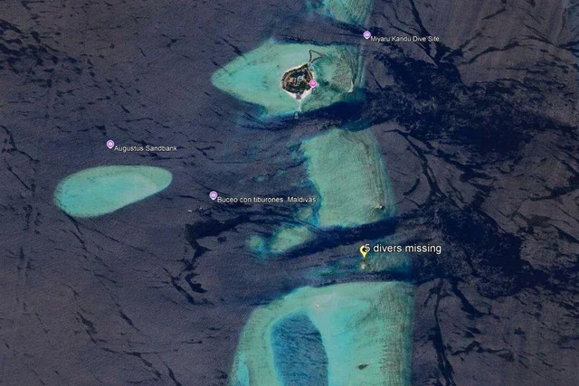 JUST NOW: Leaked dive logs from the Italian tourist group who died in the Maldives reportedly contain footage from a hidden camera — capturing a terrifying moment nearly 60 meters underwater… 👇👇