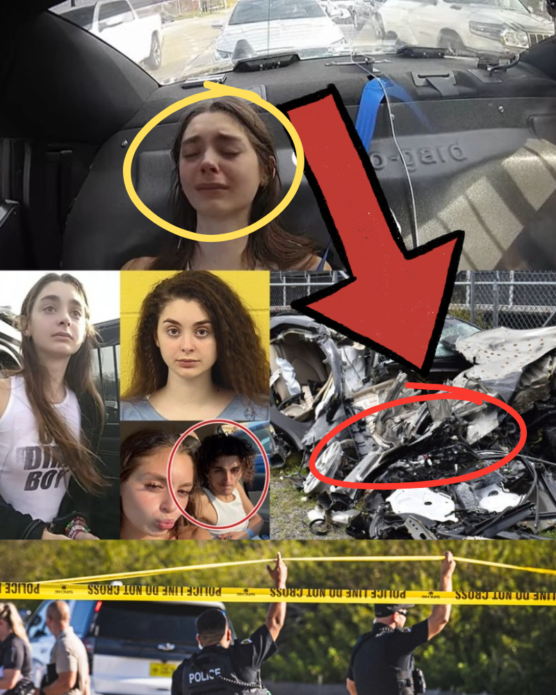 “BLACK BOX DATA REVEALS HORRIFYING FINAL 5 SECONDS — VICTIM’S FAMILY SPEECHLESS UPON LEARNING THE TRUTH.”