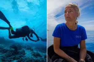 THE MALDIVES DIVING TRAGEDY RECONSTRUCTED: Investigators say the deaths of five Italian tourists may be linked to a terrifying issue involving oxygen tanks — and experts are still shaken by the details…