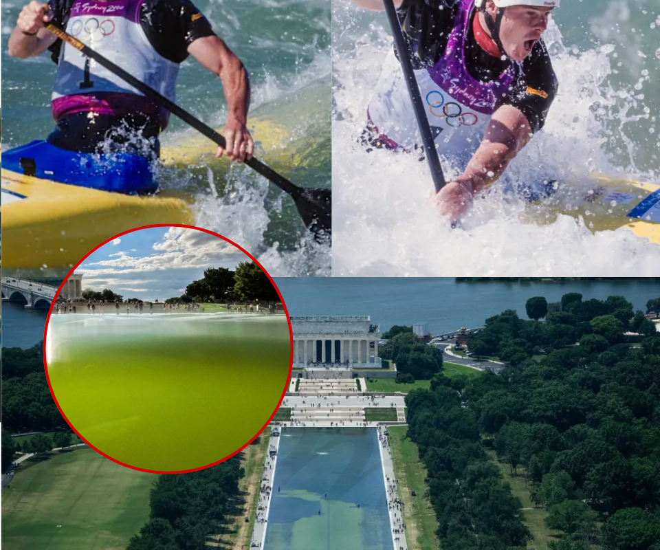 When Curiosity Becomes a Crime: The Arrest of an Olympian at the Reflecting Pool