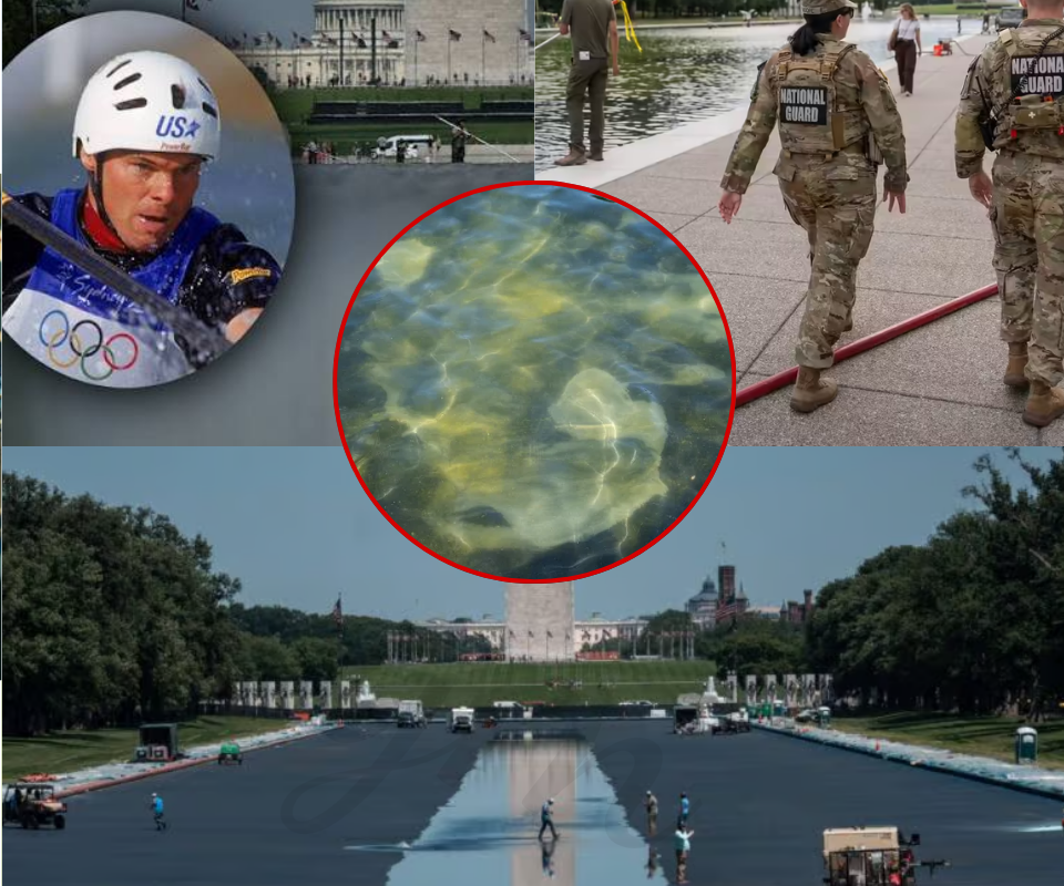 A Broken Reflection: The Collision of National Heritage and Political Fury