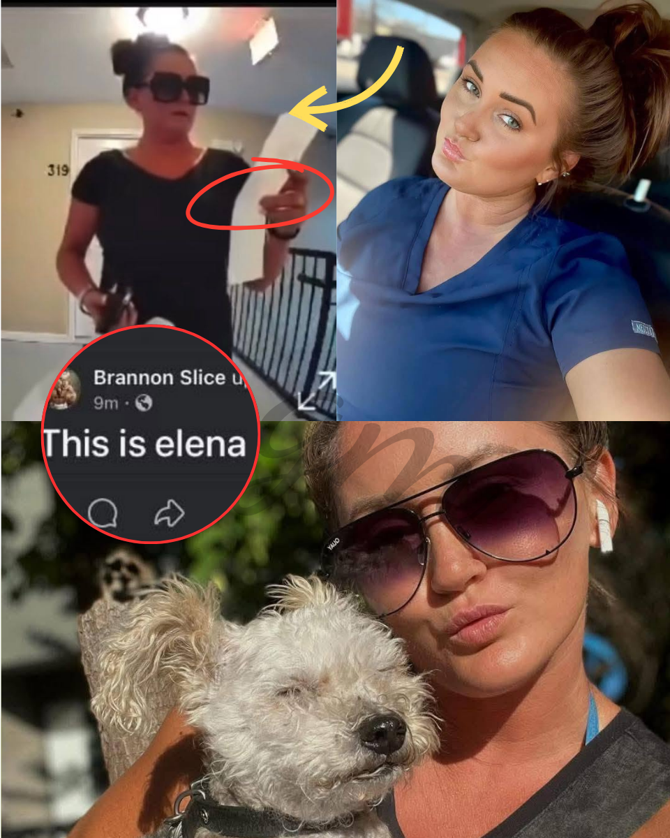 THE “GHOST” POSTS: Why is the husband’s account fueling more questions than answers in the Elena Moore case?