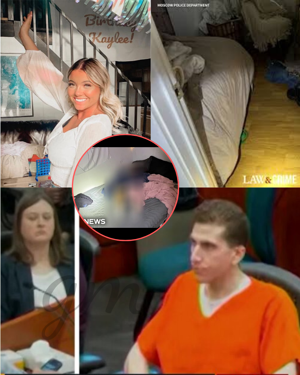 🎯 THE “MAIN TARGET” DEBATE OVER: Why the Forensic Evidence Points to One Room…