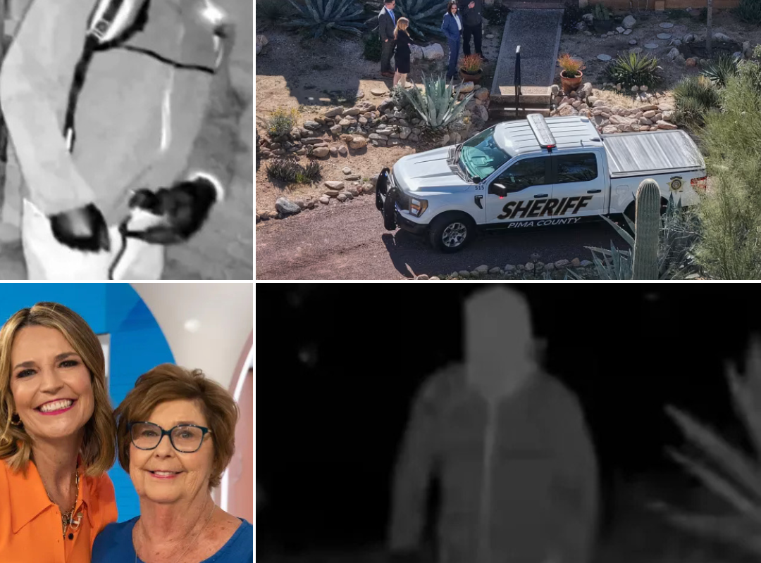 Search Resumes: The hunt for Nancy Guthrie’s grave in Mexico is back on after investigators uncover a promising new lead