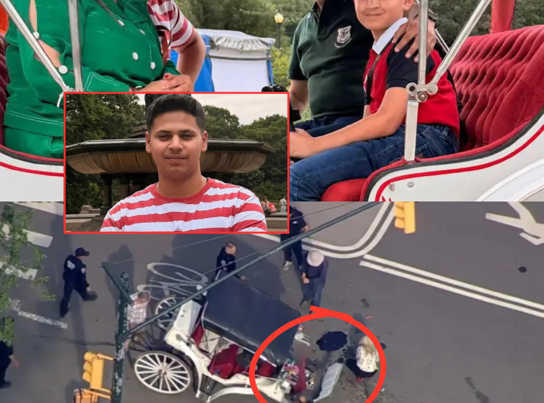 Tragic Loss: The identity of a teenage tourist who d!ed after falling from a horse in New York while desperately trying to s@ve his mother has been revealed