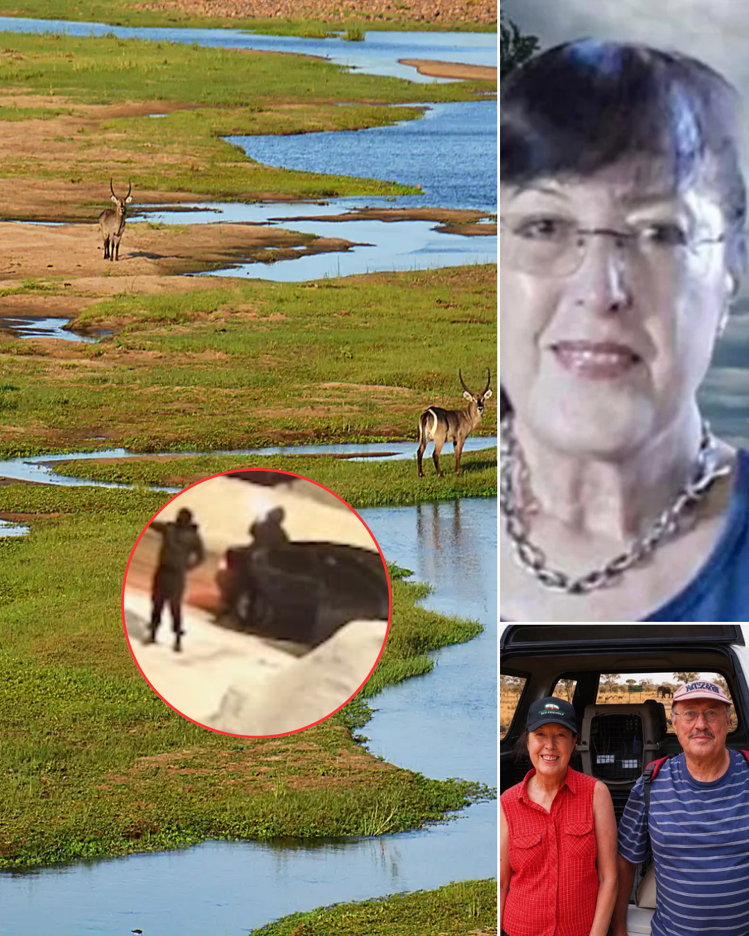 “I heard screaming”: A resident near Kruger National Park recalled the moment two tourists were att@cked, but by the time they arrived, it was already too late