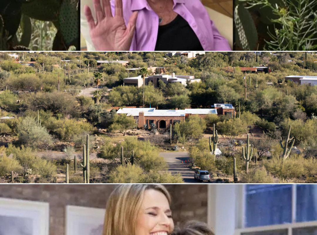 Hidden in Plain Sight?: Detectives believe the full contents of two ransom letters may reveal the true location of Nancy Guthrie’s r3mains