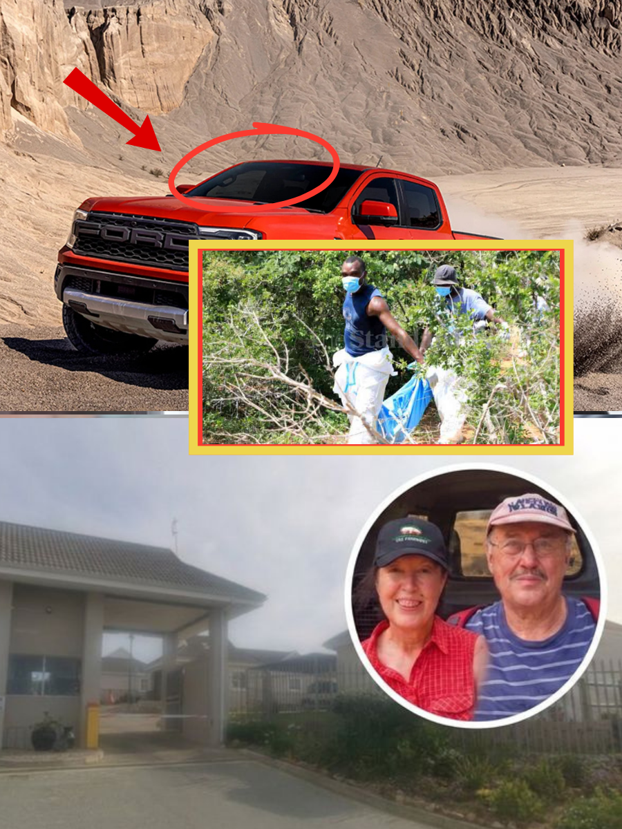 “SHE LOOKED BACK AT ME TWICE”: The Picnic-Site Worker Who Remembers Dina’s Final Expression A local worker near Pafuri says Dina Marais appeared uneasy before leaving the area with Ernst.
