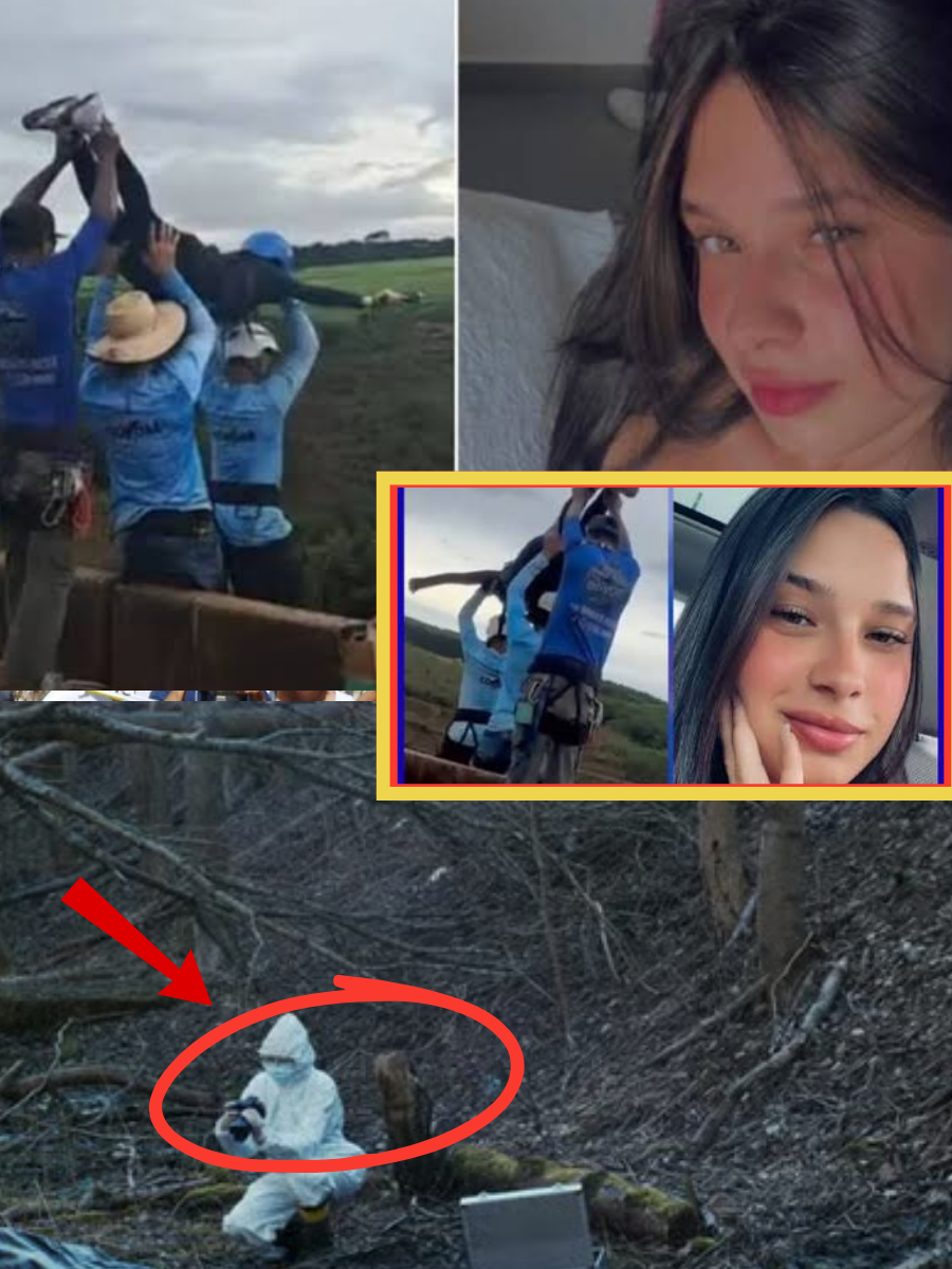 WAS THERE SOMEONE ELSE PULLING THE STRINGS? After one suspect reportedly broke silence, investigators are now examining whether Maria Eduarda Rodrigues de Freitas’ death was planned by a person who never appeared at the scene…