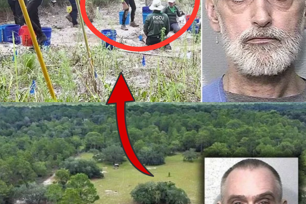 WHAT REALLY HAPPENED? Florida Serial Murder Investigation Takes a Dramatic New Turn After Detectives Uncover a 6-Minute Surveillance Camera Video